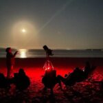 Jervis Bay Beach Stargazing Tour with our Astronomer - Why Travelers Love This Experience