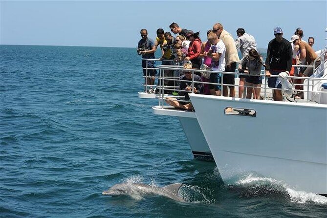 Jervis Bay Dolphin Cruise - The Value of Your Ticket