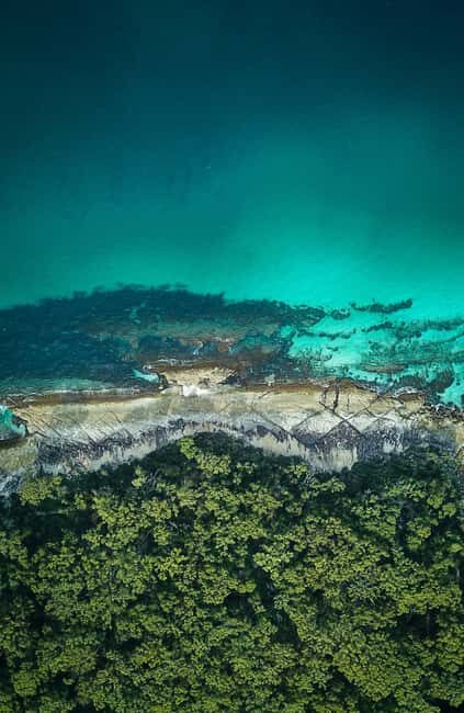 Jervis Bay, Kiama & Kangaroo Valley Day Trip From Sydney-PVT - Introduction
