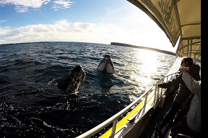 Jervis Bay Whale Watching Tour - The Crew and the Experience