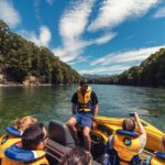 Jet Boat Journey through Fiordland National Park - Pure Wilderness - Practical Details & Value for Money