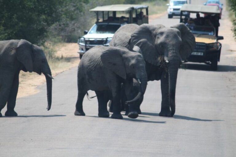 Johannesburg: 3-Day Panorama Tour with Kruger Park Safari - What’s Included and What’s Not