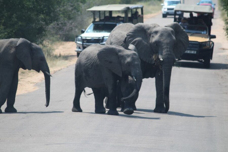 Johannesburg: 3-Day Panorama Tour with Kruger Park Safari - What’s Included and What’s Not