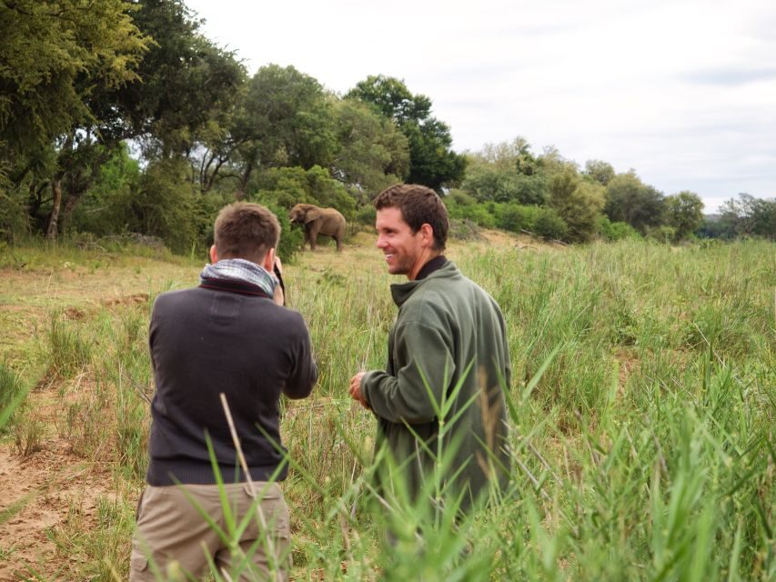 Johannesburg: 5-Day Classic Kruger National Park Safari - The Experience: What Sets This Safari Apart
