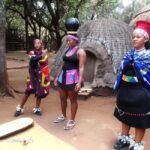 Johannesburg: Cradle of Humankind, Lion Park & Lesedi Tour - Discovering South African Culture at Lesedi Cultural Village