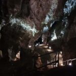 Johannesburg: Cradle of Humankind World Heritage Site Tour - Exploring the Cradle of Humankind: What to Expect