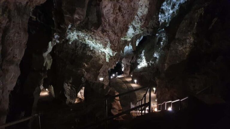 Johannesburg: Cradle of Humankind World Heritage Site Tour - Exploring the Cradle of Humankind: What to Expect