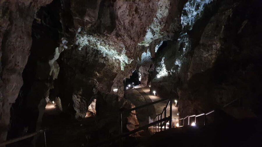 Johannesburg: Cradle of Humankind World Heritage Site Tour - Exploring the Cradle of Humankind: What to Expect