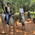 Johannesburg: Elephant, Horse Riding, and Lion Safari Tour - Frequently Asked Questions