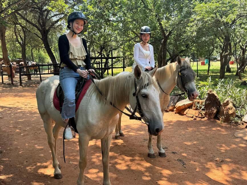 Johannesburg: Elephant, Horse Riding, and Lion Safari Tour - Frequently Asked Questions