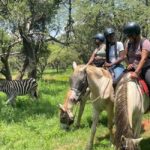JOHANNESBURG: Horse Riding & Quad Biking Adventure - Who Will Enjoy This Tour?