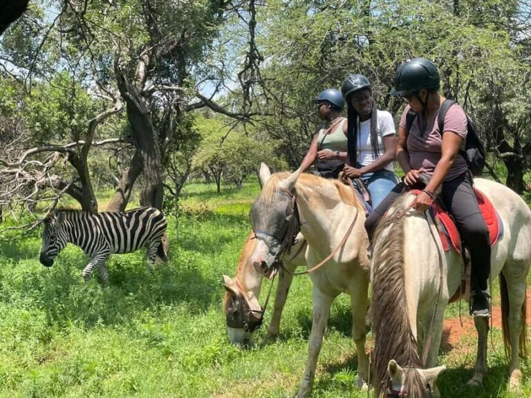 JOHANNESBURG: Horse Riding & Quad Biking Adventure - Who Will Enjoy This Tour?