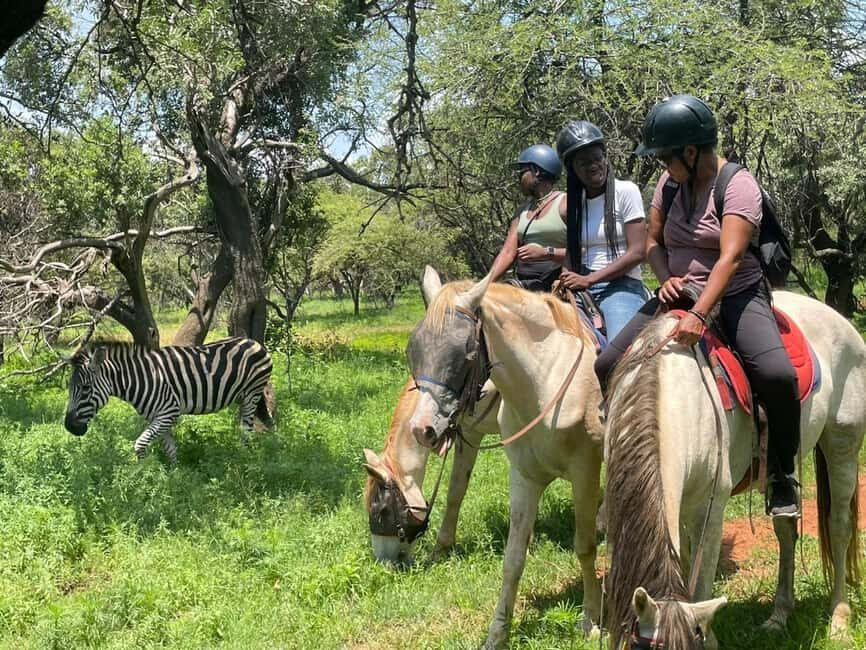 JOHANNESBURG: Horse Riding & Quad Biking Adventure - Who Will Enjoy This Tour?