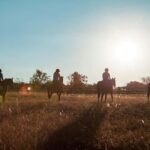 Johannesburg Horse Riding: Return Tranfer Included Lanseria - Authentic Insights from a Review