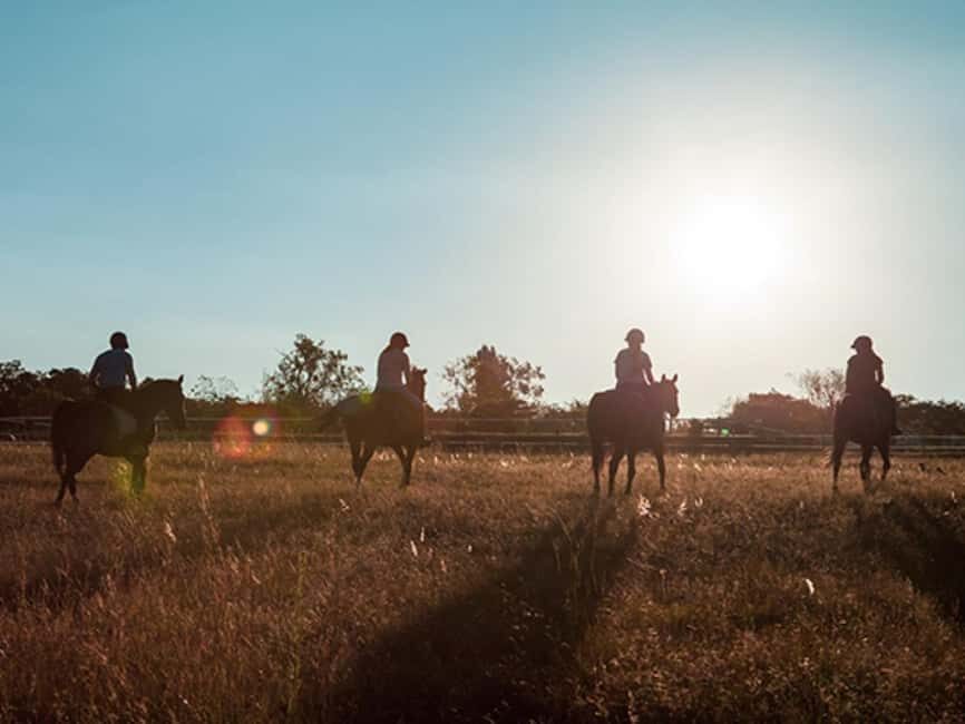 Johannesburg Horse Riding: Return Tranfer Included Lanseria - Authentic Insights from a Review