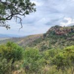 Johannesburg: Human Origins day tour and Malapa Museum - What Makes This Tour Stand Out?