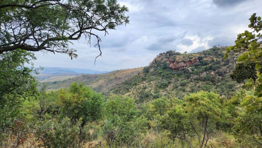 Johannesburg: Human Origins day tour and Malapa Museum - What Makes This Tour Stand Out?