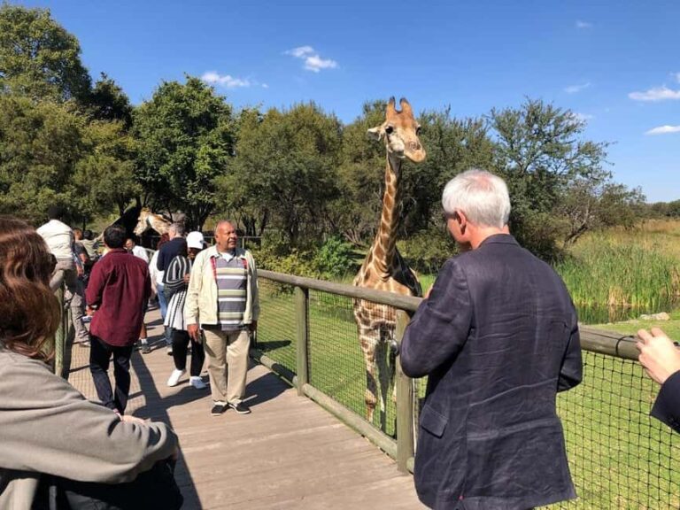 Johannesburg: Lion and Safari Park Tour with Hotel Pickup - Final Thoughts: Is This Tour Worth It?