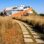Johannesburg: Lion Park Safari and Cultural Village Tour - What Makes This Tour Stand Out?