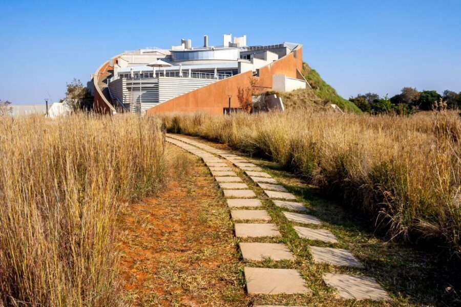 Johannesburg: Lion Park Safari and Cultural Village Tour - What Makes This Tour Stand Out?