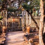 Johannesburg: Lion's Park Safari and Lesedi Cultural Village - Why This Tour Offers Good Value