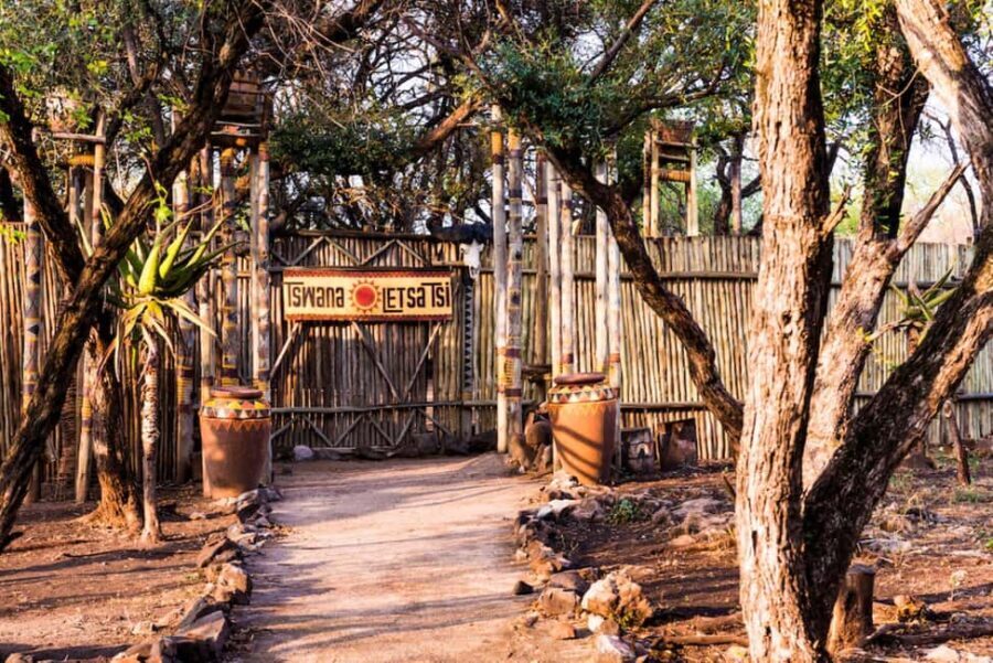 Johannesburg: Lion's Park Safari and Lesedi Cultural Village - Why This Tour Offers Good Value
