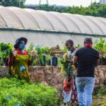 Johannesburg: Pan-African Cooking & Dinning Experience - The Value of This Experience