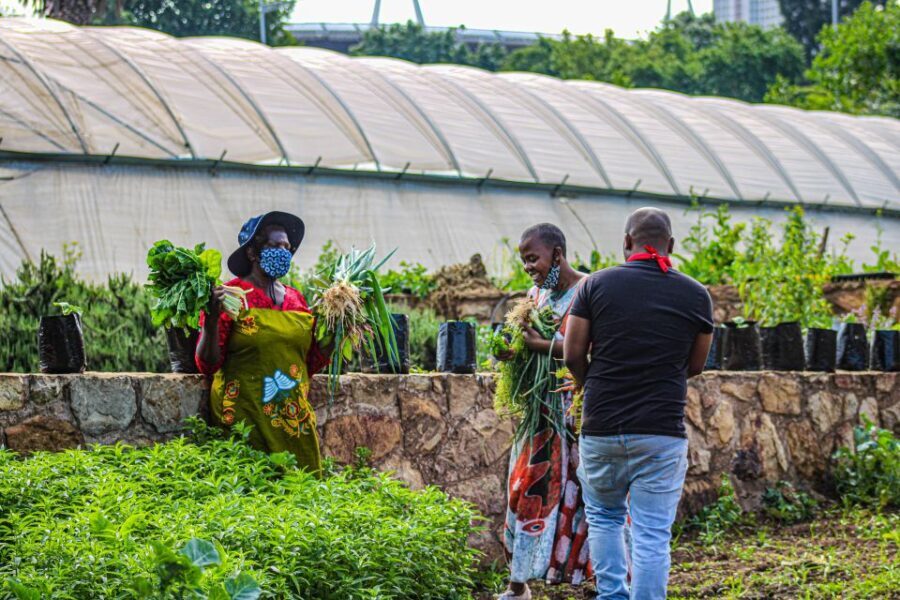 Johannesburg: Pan-African Cooking & Dinning Experience - The Value of This Experience