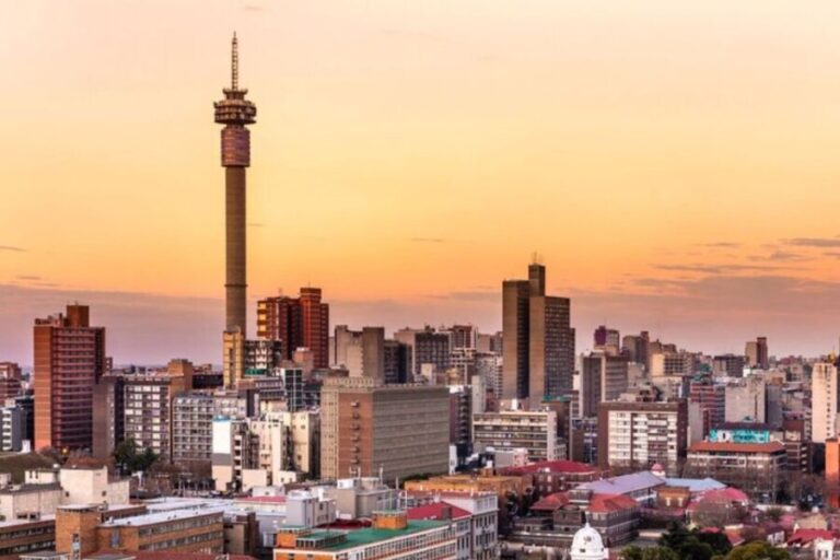 Johannesburg: Private custom tour with a local guide - Who Will Love This Tour?