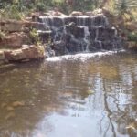 Johannesburg: The Wilds Nature Reserve Hike - Detailed Breakdown of the Experience