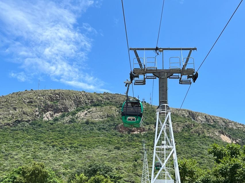 Johannesburg: Wine Tasting and Cableway Half Day Tour - Who Will Appreciate This Tour?