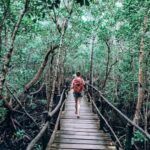 JOZAN FOREST , BLUE LAGOON , ROCK RESTAURANT AND KUZA CAVE . - Snorkeling at the Blue Lagoon