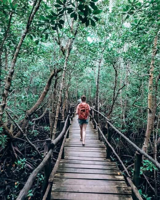 JOZAN FOREST , BLUE LAGOON , ROCK RESTAURANT AND KUZA CAVE . - Snorkeling at the Blue Lagoon