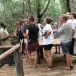 Jozani Forest and Salaam cave - What You’ll Experience
