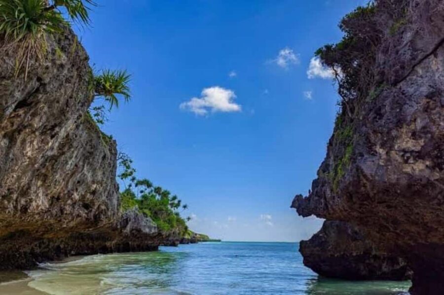 Jozani Forest, Kuza Cave, Mtende Beach & The Rock Restaurant - Why This Tour Works