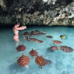 Jozani Forest, Kuza Cave, Salaam Caves & The Rock Restaurant - Breaking Down the Day: What You Can Expect