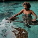 Jozani Forest, Mangrove Kayaking & Sea Turtles Aquarium - What’s Included and Practical Tips