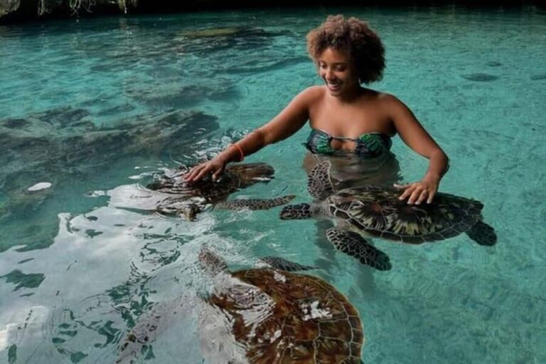 Jozani Forest, Mangrove Kayaking & Sea Turtles Aquarium - What’s Included and Practical Tips