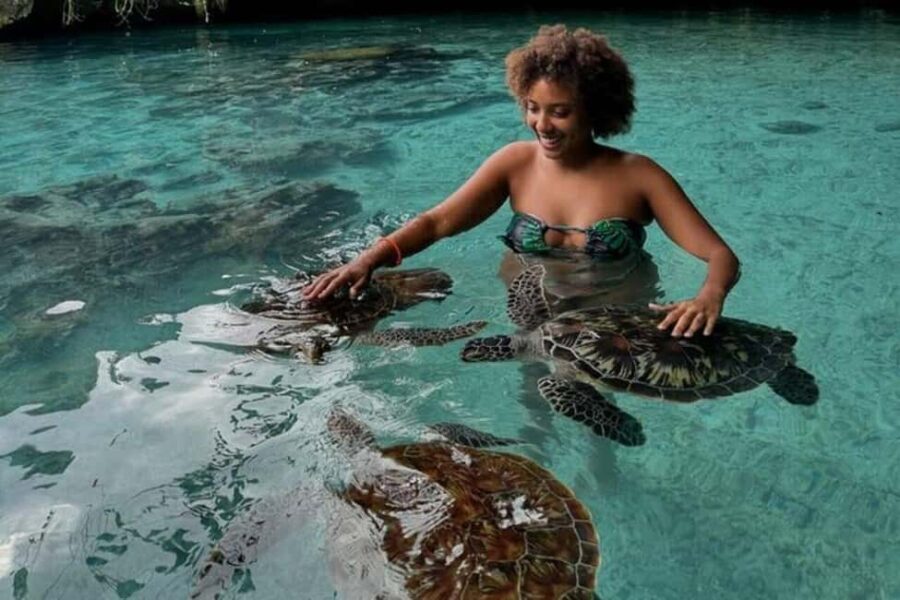 Jozani Forest, Mangrove Kayaking & Sea Turtles Aquarium - What’s Included and Practical Tips