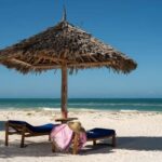 Jozani Forest & Paje Beach Trip with The Rock Restaurant - Practical Details and Considerations