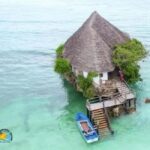 JOZANI FOREST , SEA TORTOISE SANCTUARY & THE ROCK RESTAURANT - What Does the Price of $80 Get You?