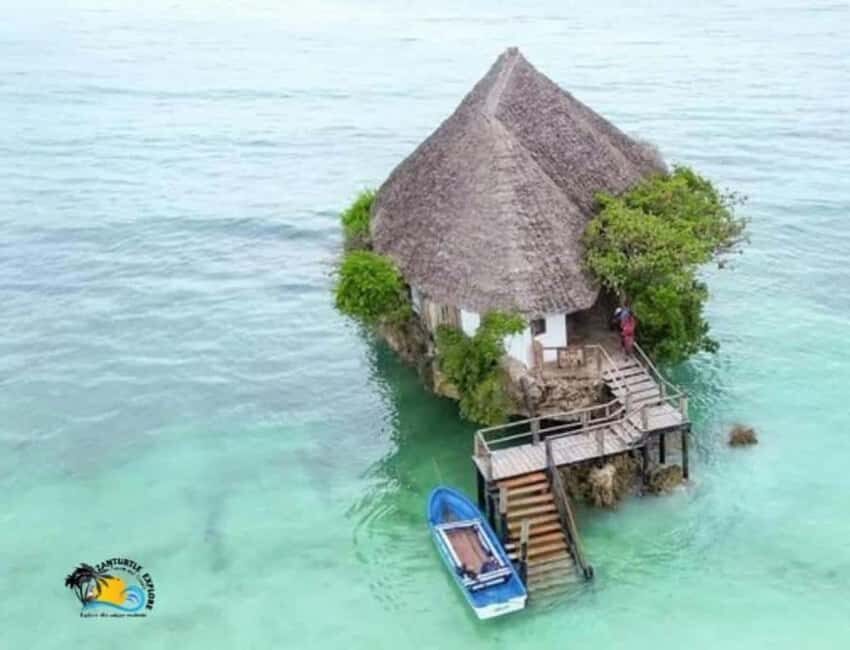 JOZANI FOREST , SEA TORTOISE SANCTUARY & THE ROCK RESTAURANT - What Does the Price of $80 Get You?