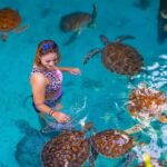 Jozani Forest, Sea Turtles, Blue Lagoon, Starfish & The Rock - The Practical Side: Logistics and Value