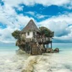 Jozani Forest, Star fish and the rock restaurant - Marine Life at Starfish Pools