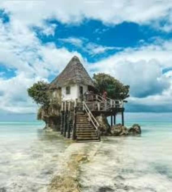 Jozani Forest, Star fish and the rock restaurant - Marine Life at Starfish Pools
