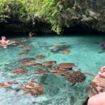 Jozani Forest & Turquoise Waters Turtle Swim at Salaam Cave - Final Thoughts