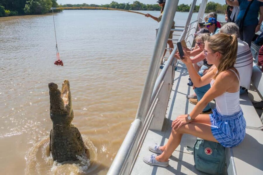 Jumping Crocodile Cruise from Darwin Half-Day Scenic Trip - Value for Money and Practical Tips