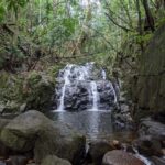 Jungle Adventure Hike:Climb, Waterfall, Discover Seychelles! - The Sum Up: Is It Worth It?