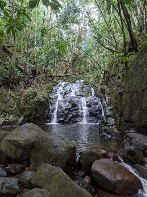Jungle Adventure Hike:Climb, Waterfall, Discover Seychelles! - The Sum Up: Is It Worth It?