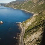 Kaikoura: 1-Hour Whale Watching Helicopter Tour - What’s Included and What You Should Know